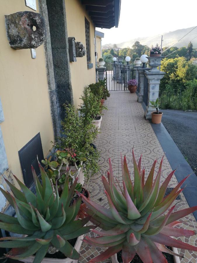 Casa Vacanza Tra Etna E Taormina Villa Ginevra Piedimonte Etneo Buitenkant foto
